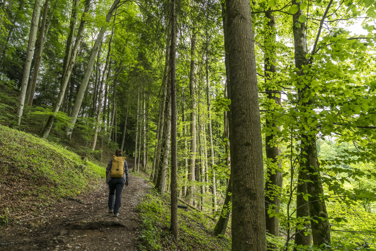 Grenzpfad St. Gallen Appenzell