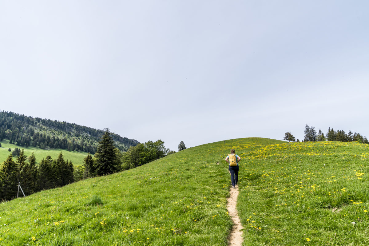 Jura-Höhenweg Aufstieg Le Suchet