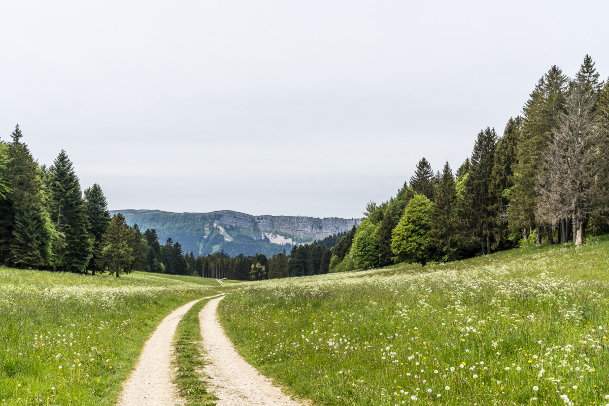 Jura-Höhenweg Fernwanderung