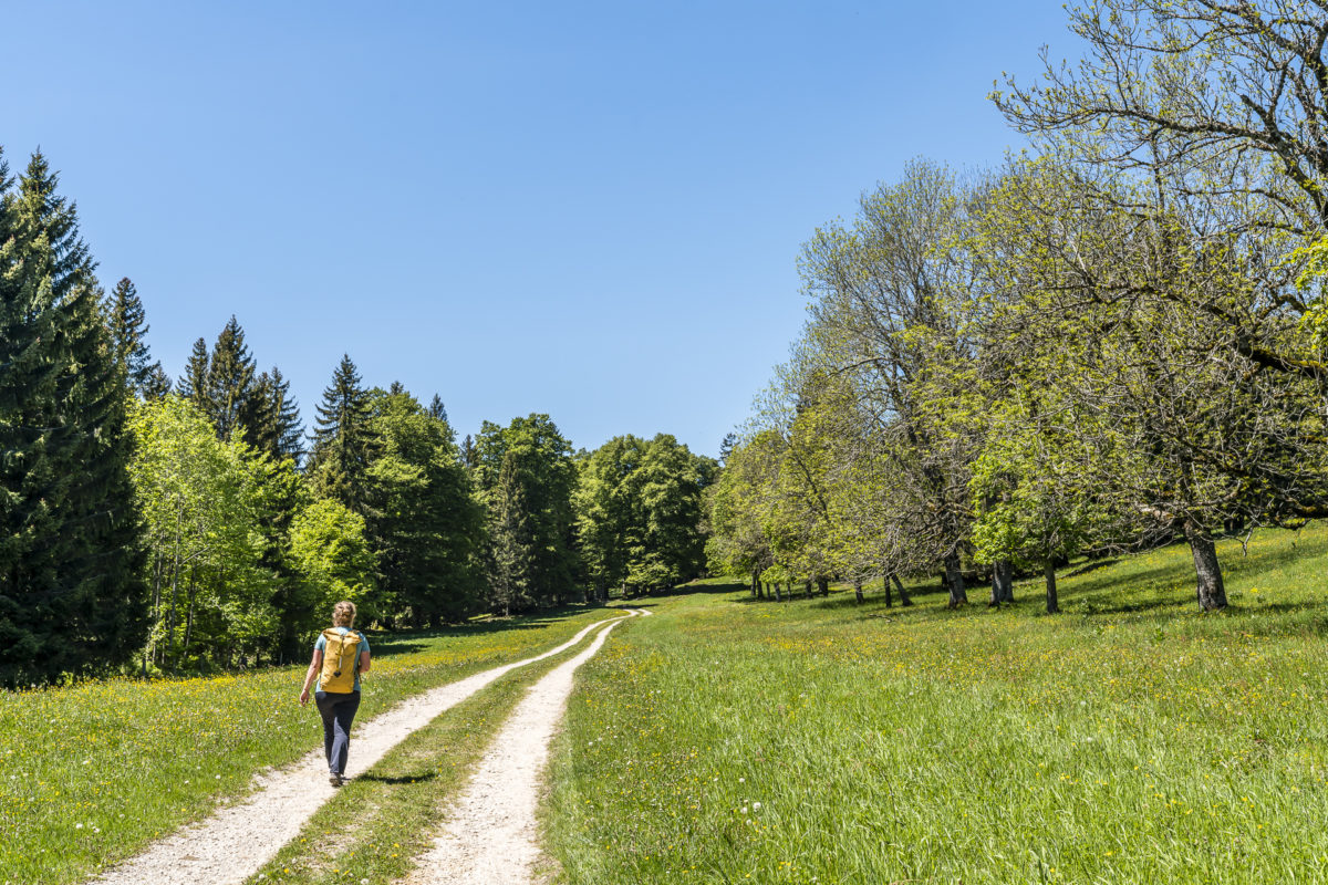 Jura-Höhenweg Wanderung