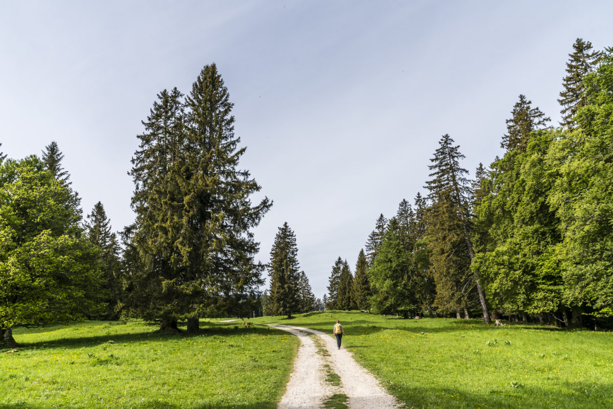 Jura-Höhenweg Etappe Ste-Croix