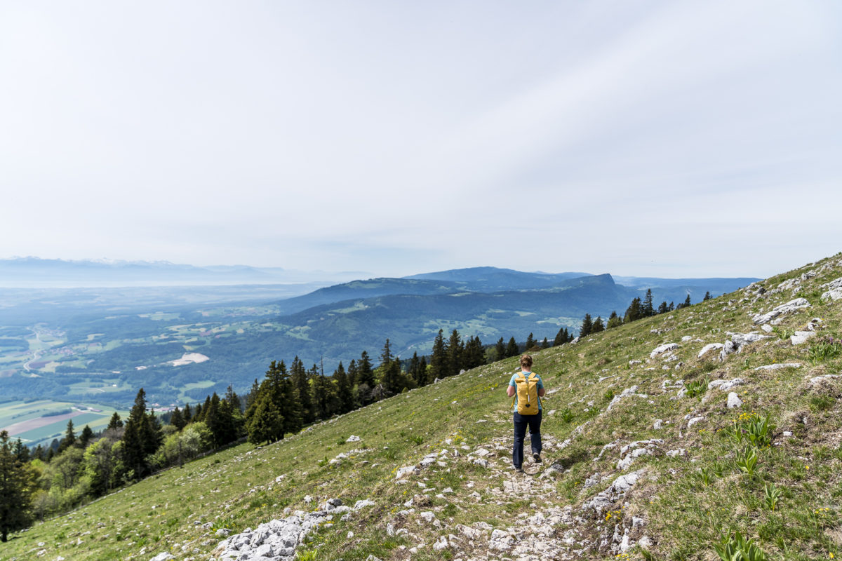 Le Suchet Vallorbe Höhenweg