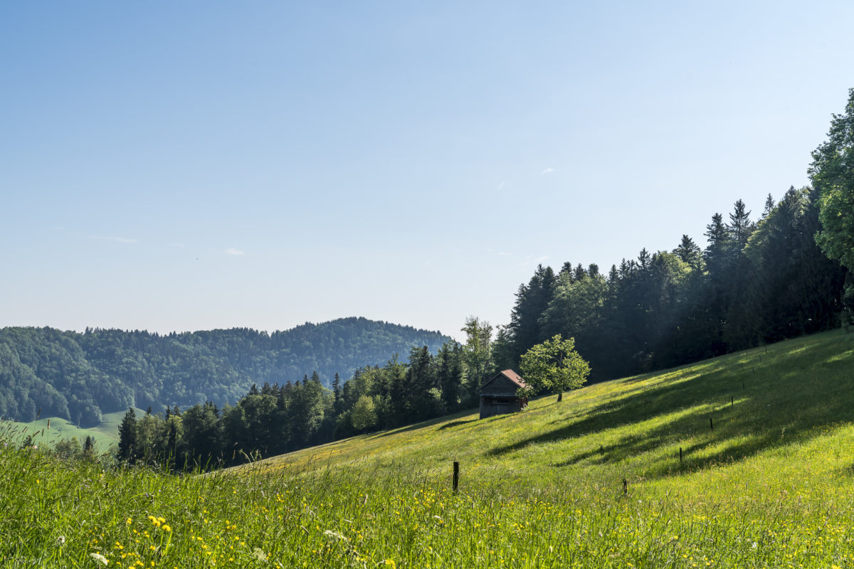 Mogelsberg Aussicht