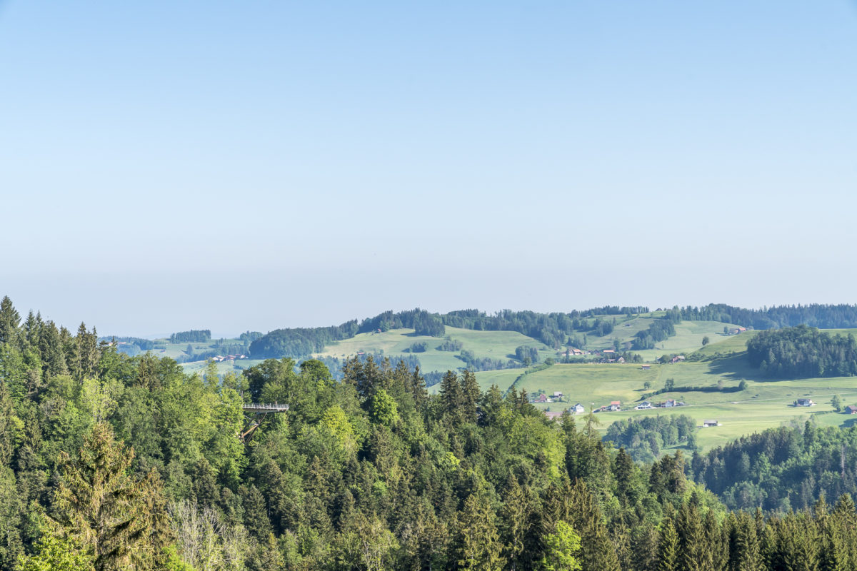 Mogelsberg Baumwipfelpfad