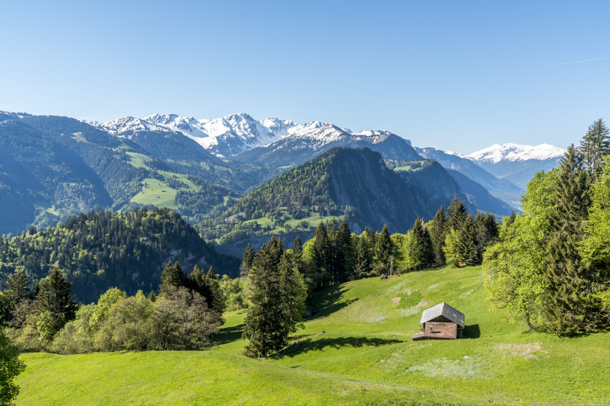 Narzissenweg Prättigau Panorama