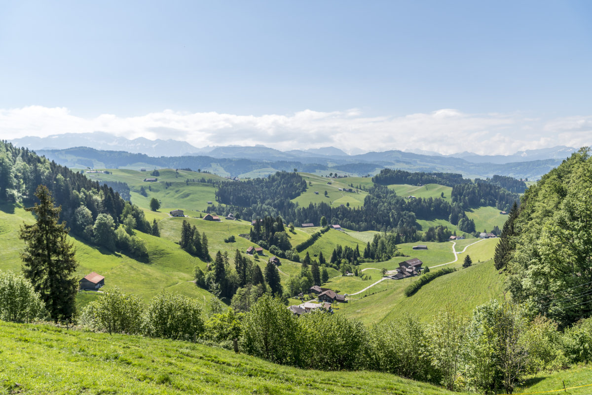 Neckertal Landschaft