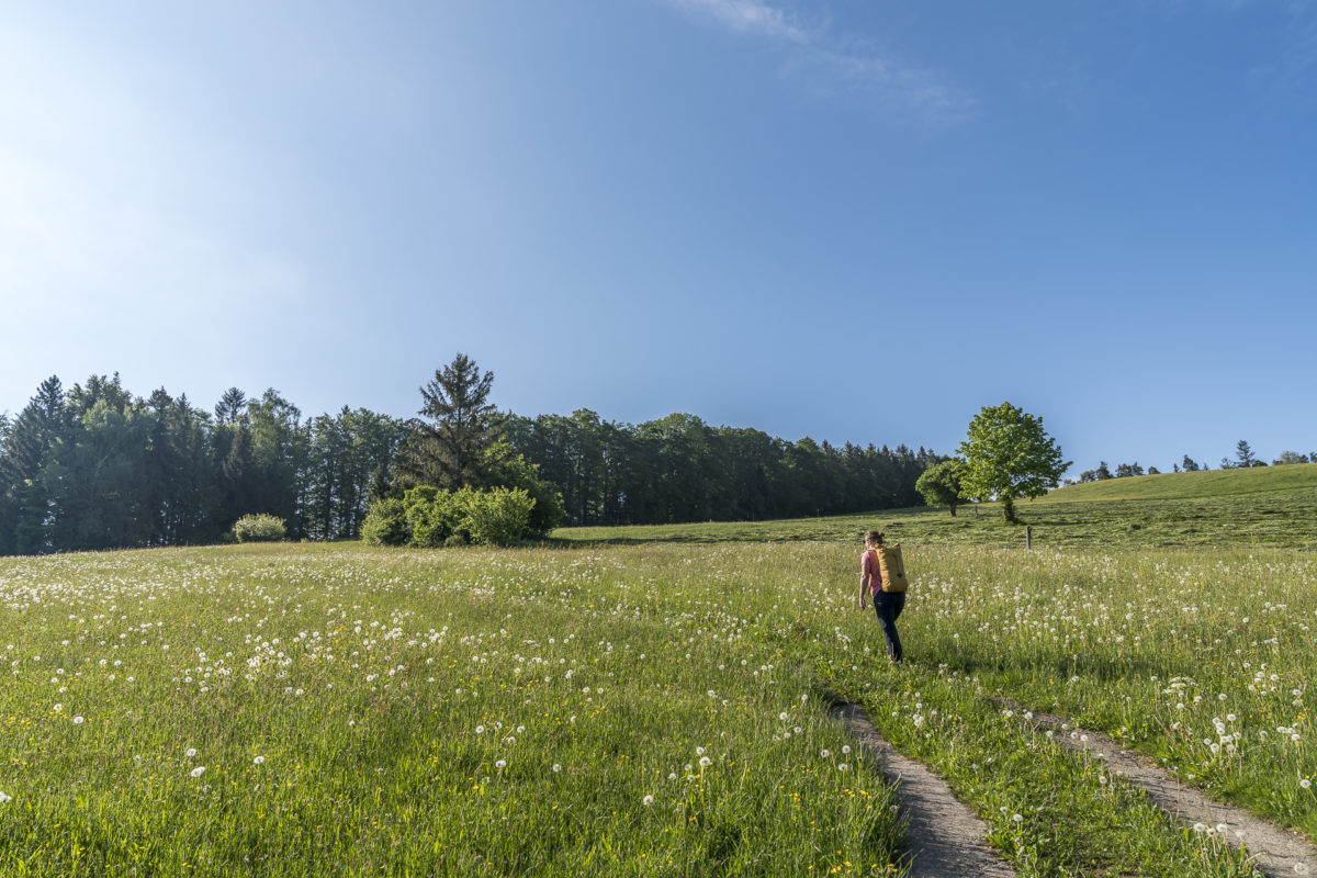 Neckertaler Höhenweg Etappe 1