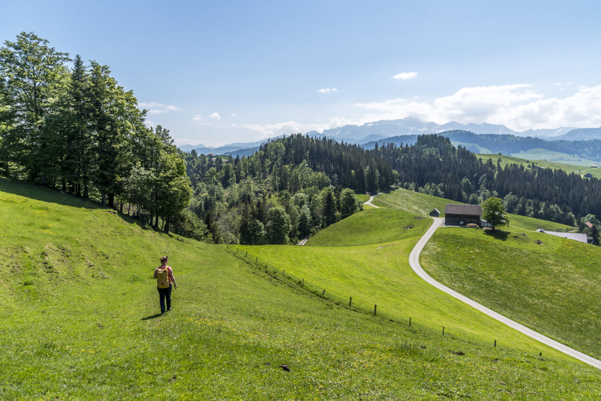 Neckertaler Höhenweg Wanderung