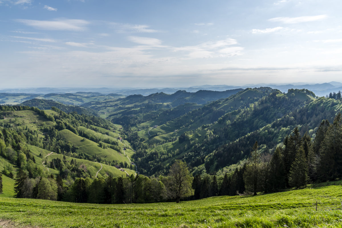 Panorama Schnebelhorn