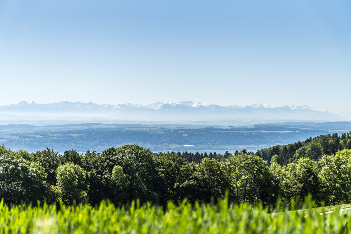 Provence Aussicht