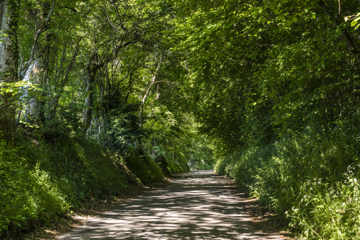 Provence Waadt Nebenstrasse