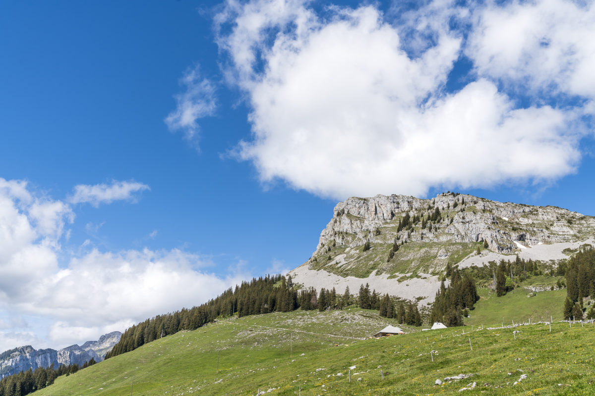 Schibengütsch Entlebuch