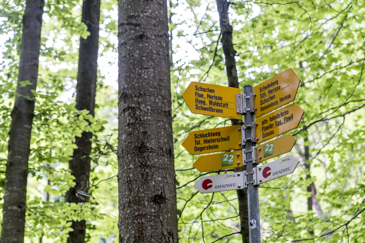 Schluchtenweg Wissbachschlucht