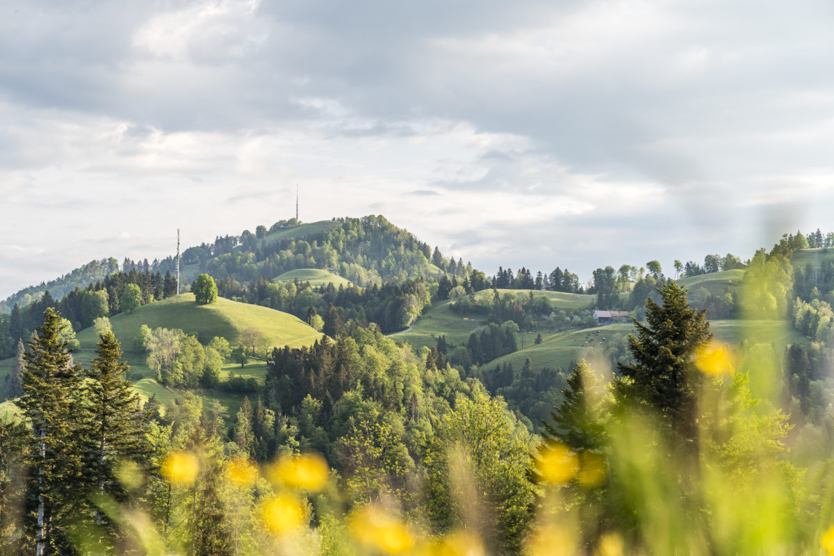 Schebelhorn Wanderung Landschaft