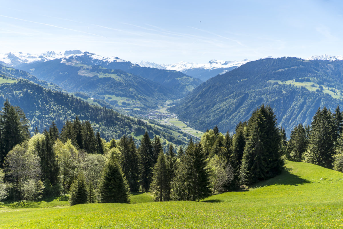 Seewis Alpweiden