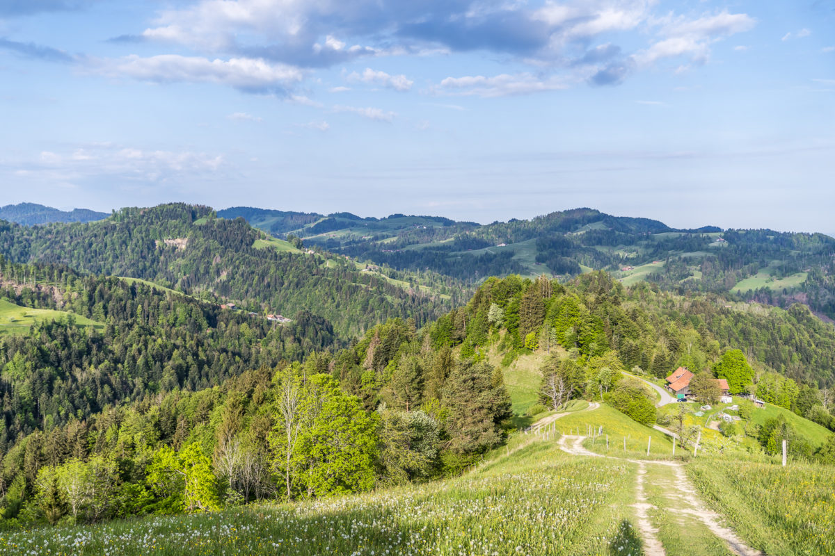 Steg - Schnebelhorn Wanderung