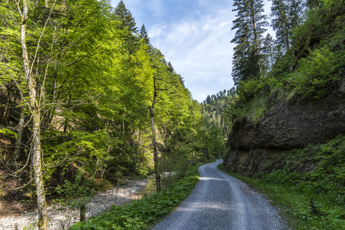 Töss Wanderweg