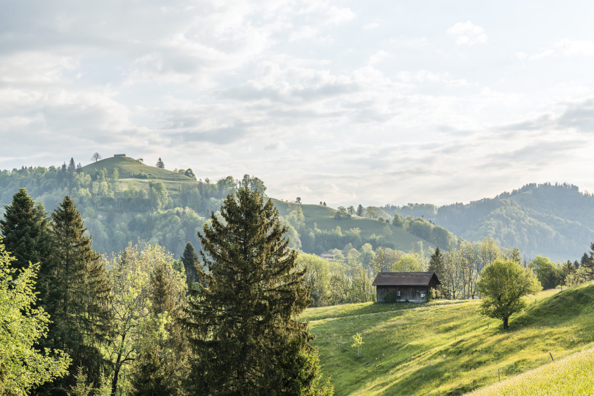 Vorderegg Tösstal