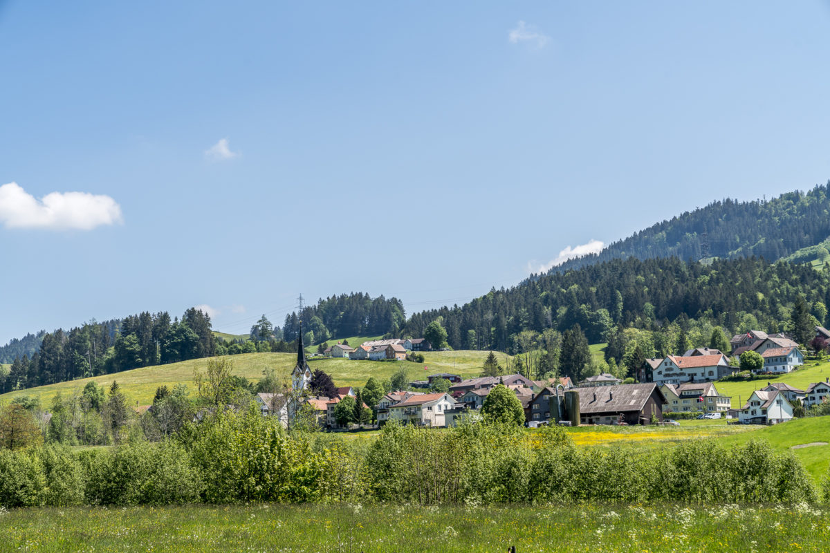 Wald Schönengrund Toggenburg