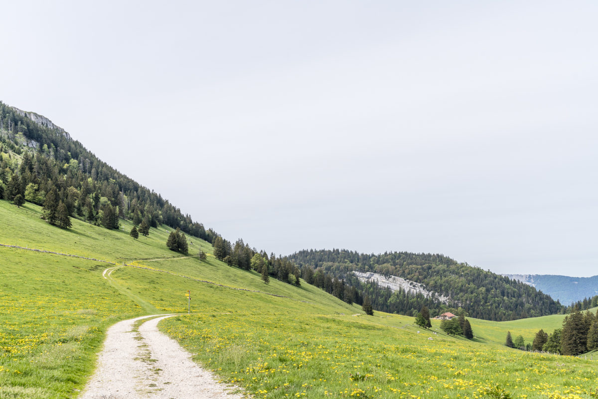 Wanderwege im Jura