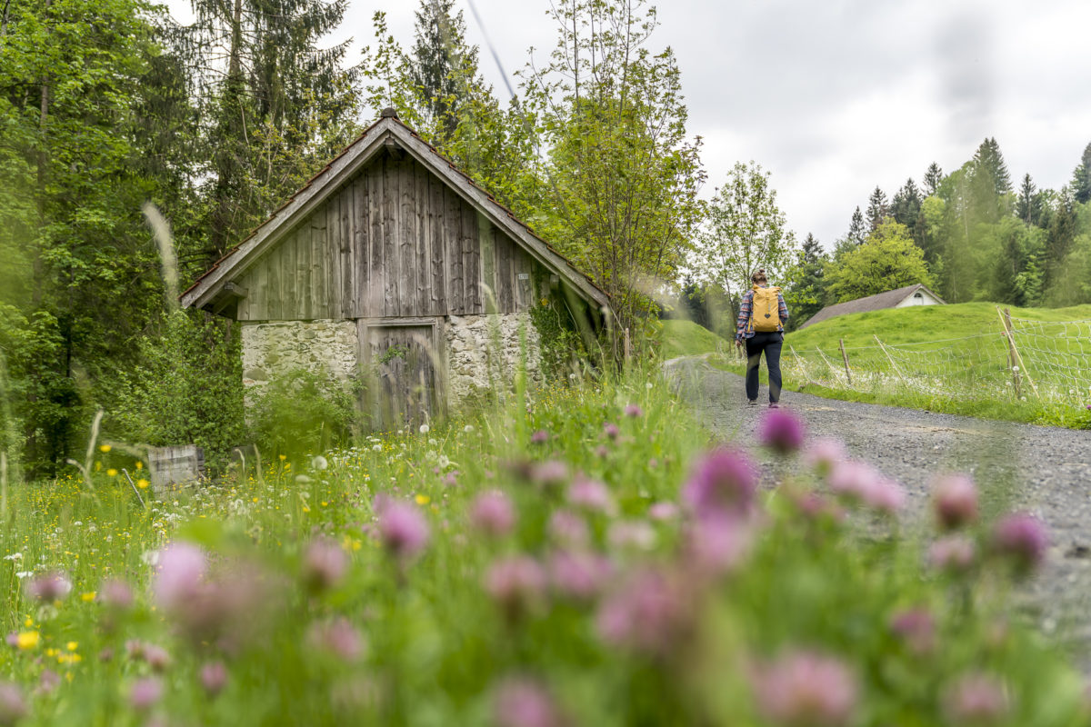 Wanderung bei Herisau