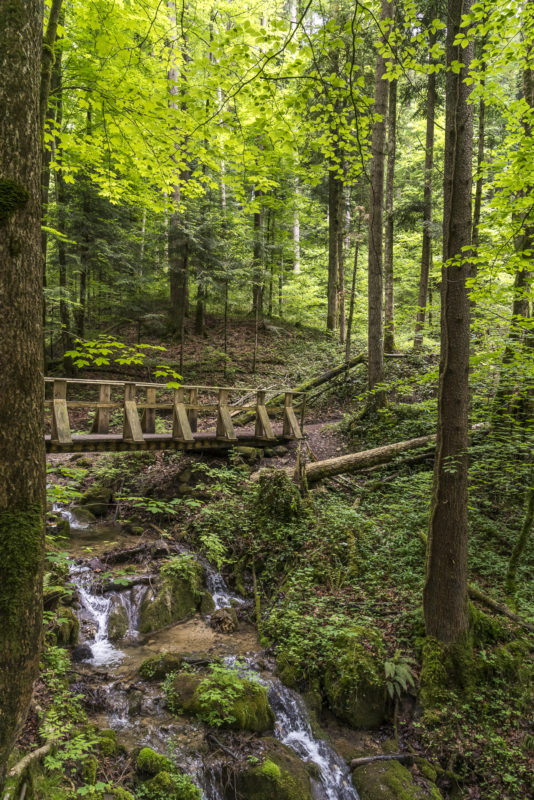 Wanderung Wissbachschlucht