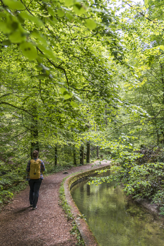 Wanderung Wissbachschlucht Degersheim