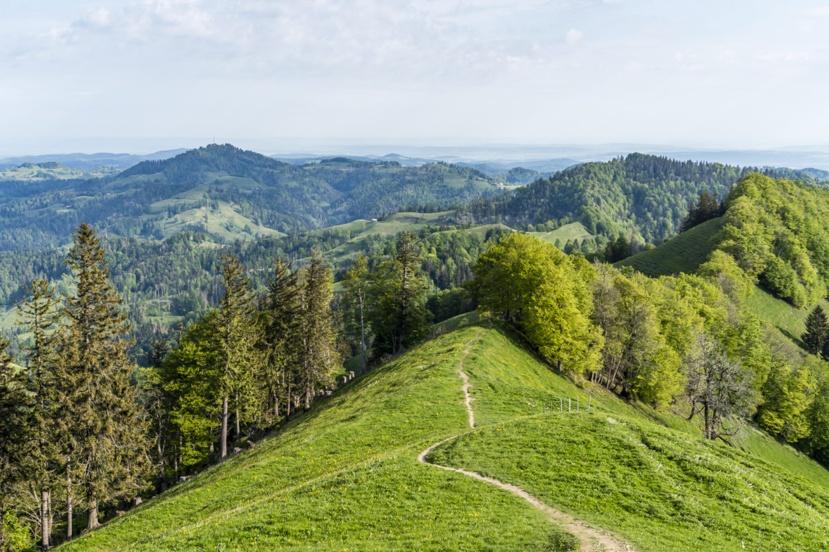 Weg zum Schnebelhorn