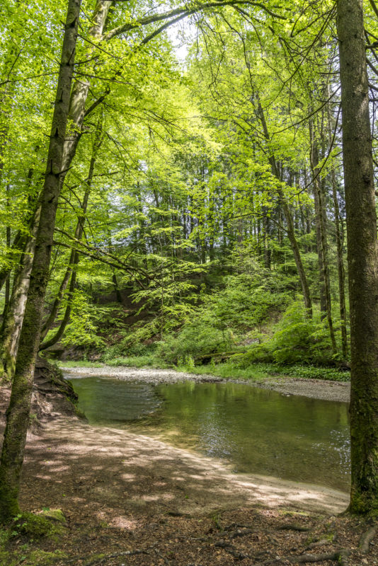 Wissbach Fluss