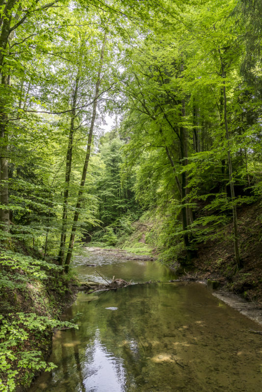 Wissbachschlucht Ostschweiz