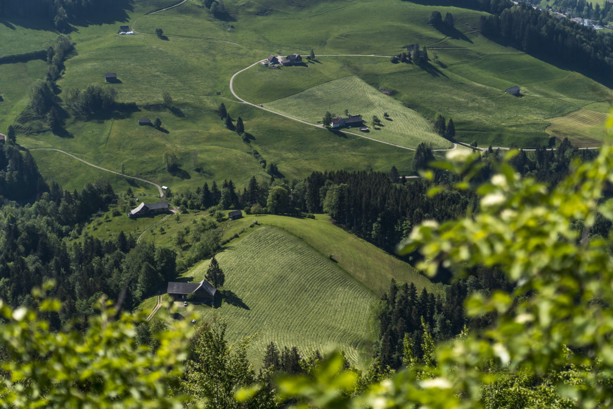 Wilkethöchi Aussicht Toggenburg