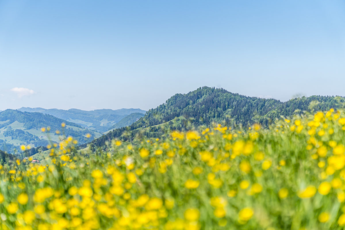 Wilkethöchi Neckertal