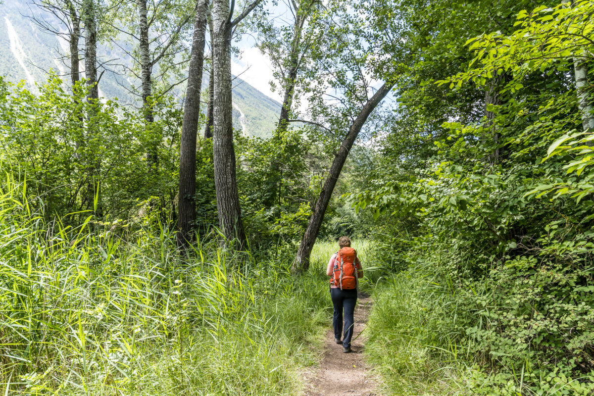 Wanderung Pfynwald