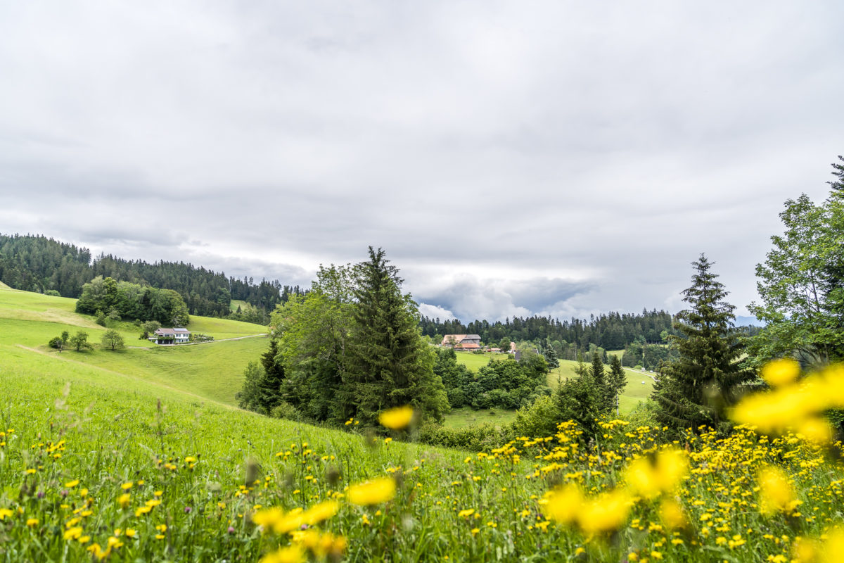 Emmental Landschaft