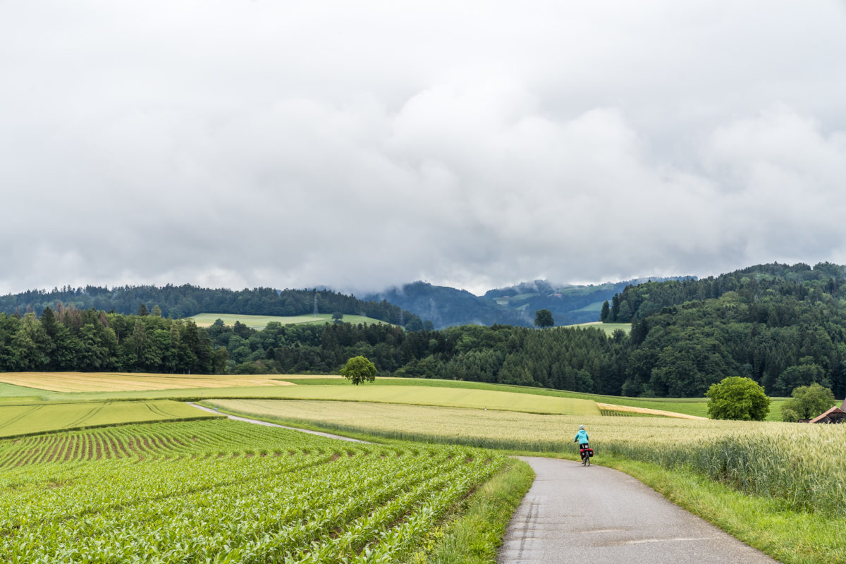 Laupen - Thun Herzroute