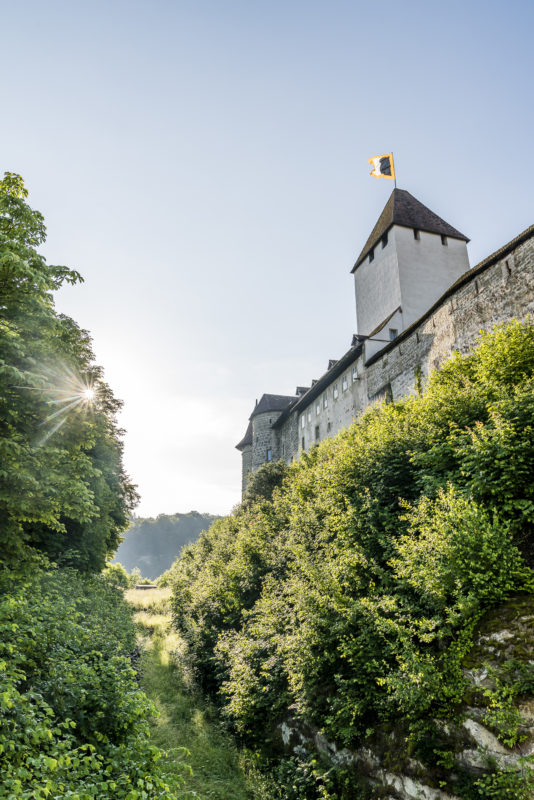 Schloss Burgdorf