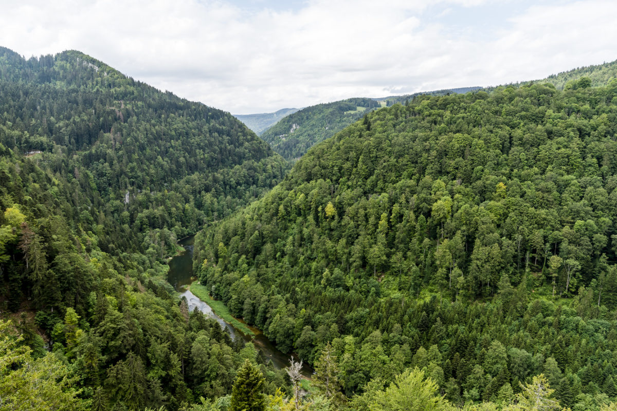 Aussicht Naturpark Doubs