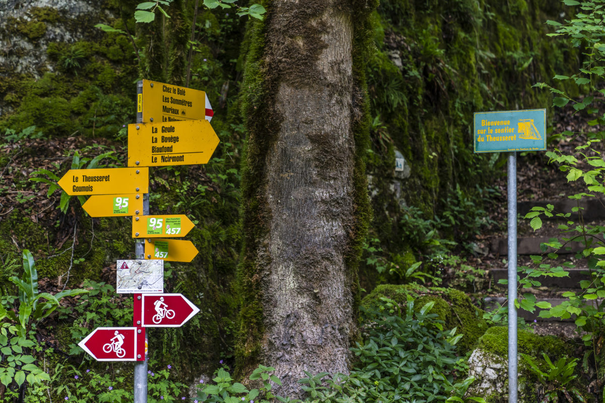 Bergweg Sommetre Jura