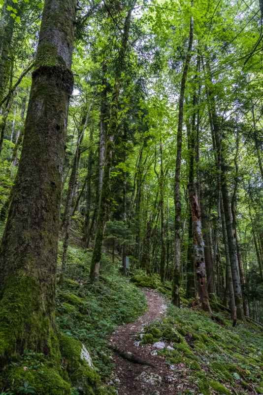 Doubs Freibergen Wanderung