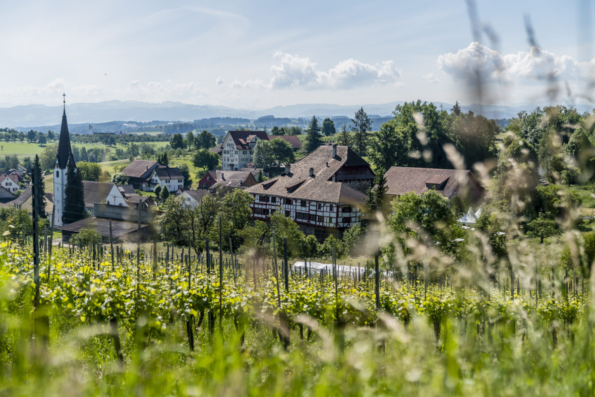 Top Ausflugsziele und Sehenswürdigkeiten im Thurgau - Tipps und Ideen