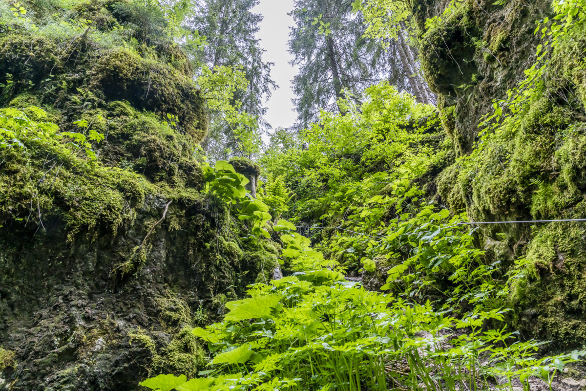 Jura Höhlen Monlési