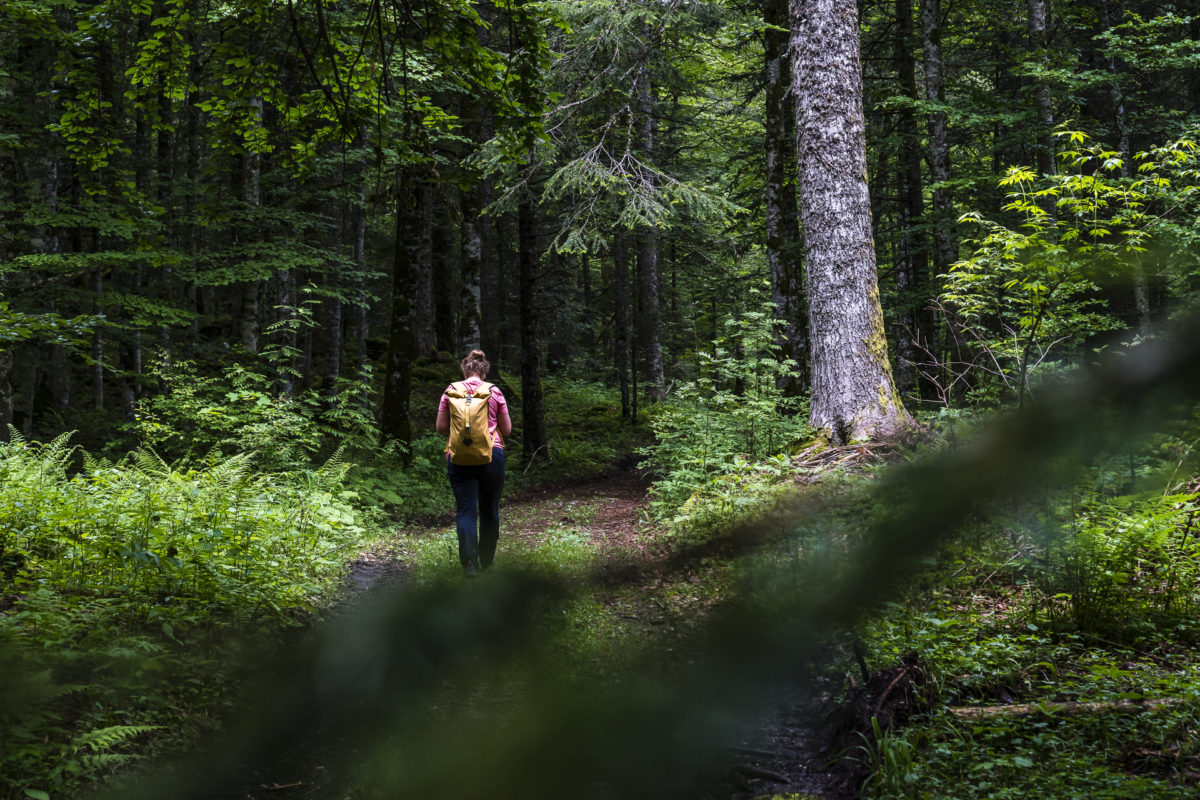 La By aux Moines Waldweg