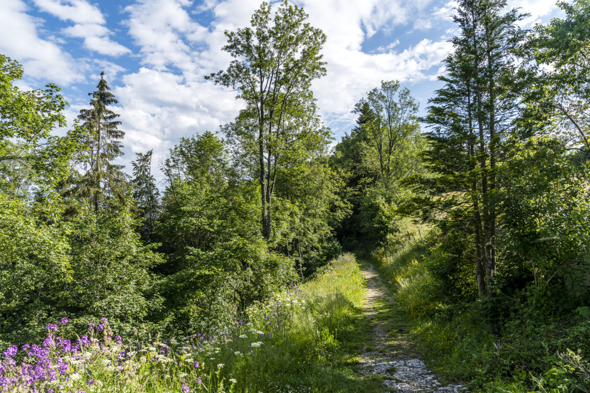 Le Normont Wanderung zum Doubs