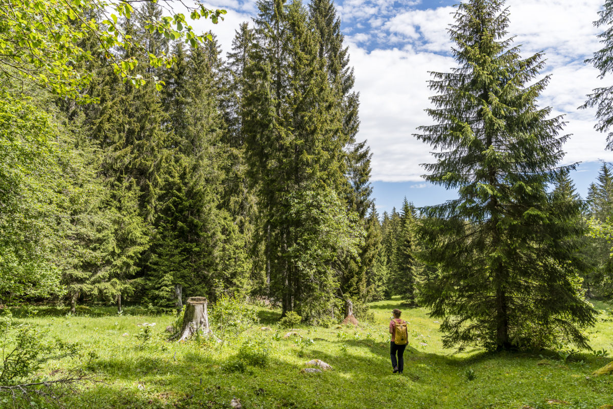 Monlési Wanderwege