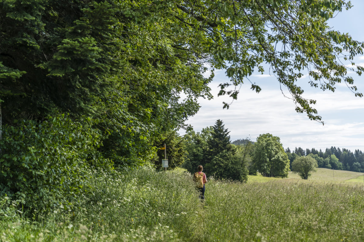 Mont de Boveresse Wanderung