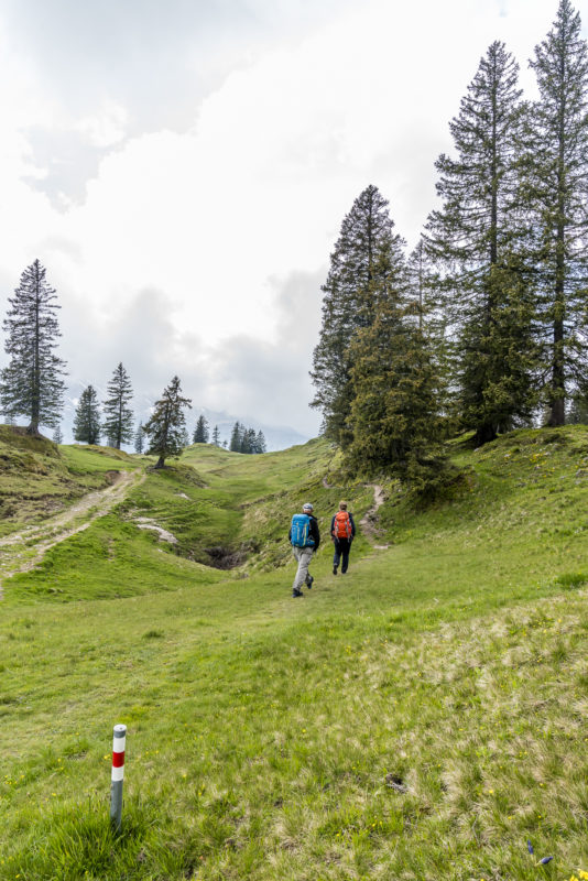 Wanderung im Muotathal Bödmeren