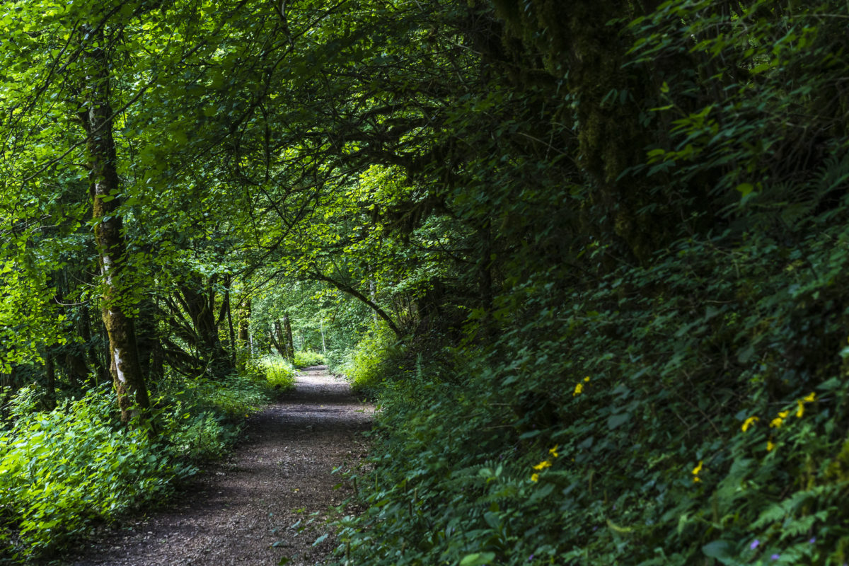 Wanderweg Doubs