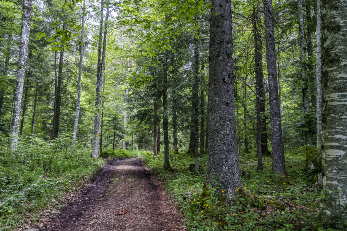 Wanderwege Val-de-Travers