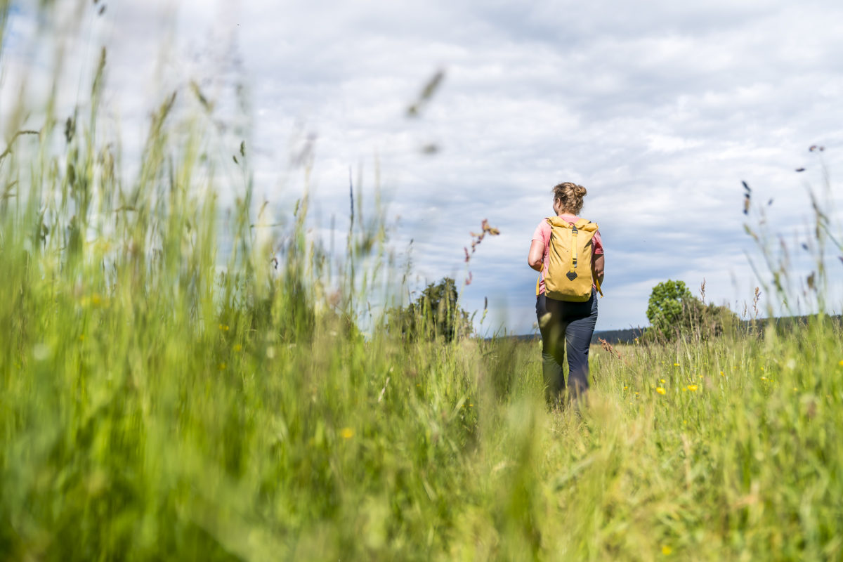 Wanderweg im Jura