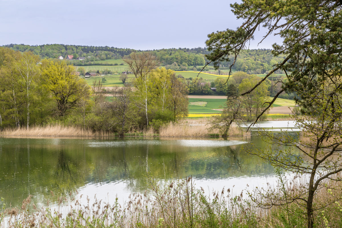 Seebachtal Thurgau